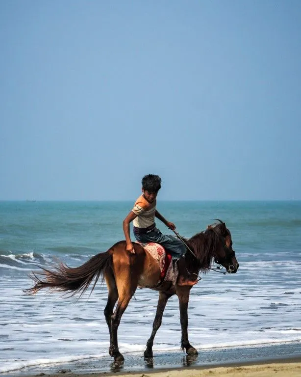 Featured photograph