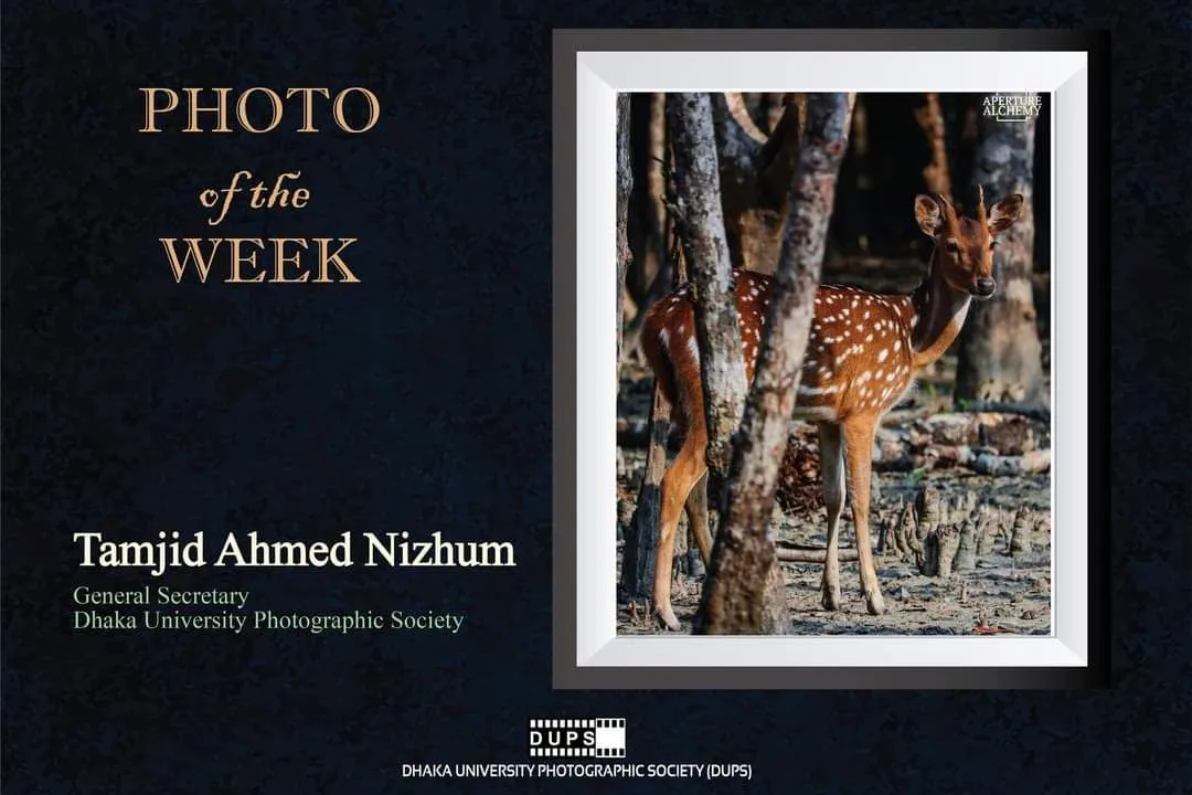 Photo of the Week
